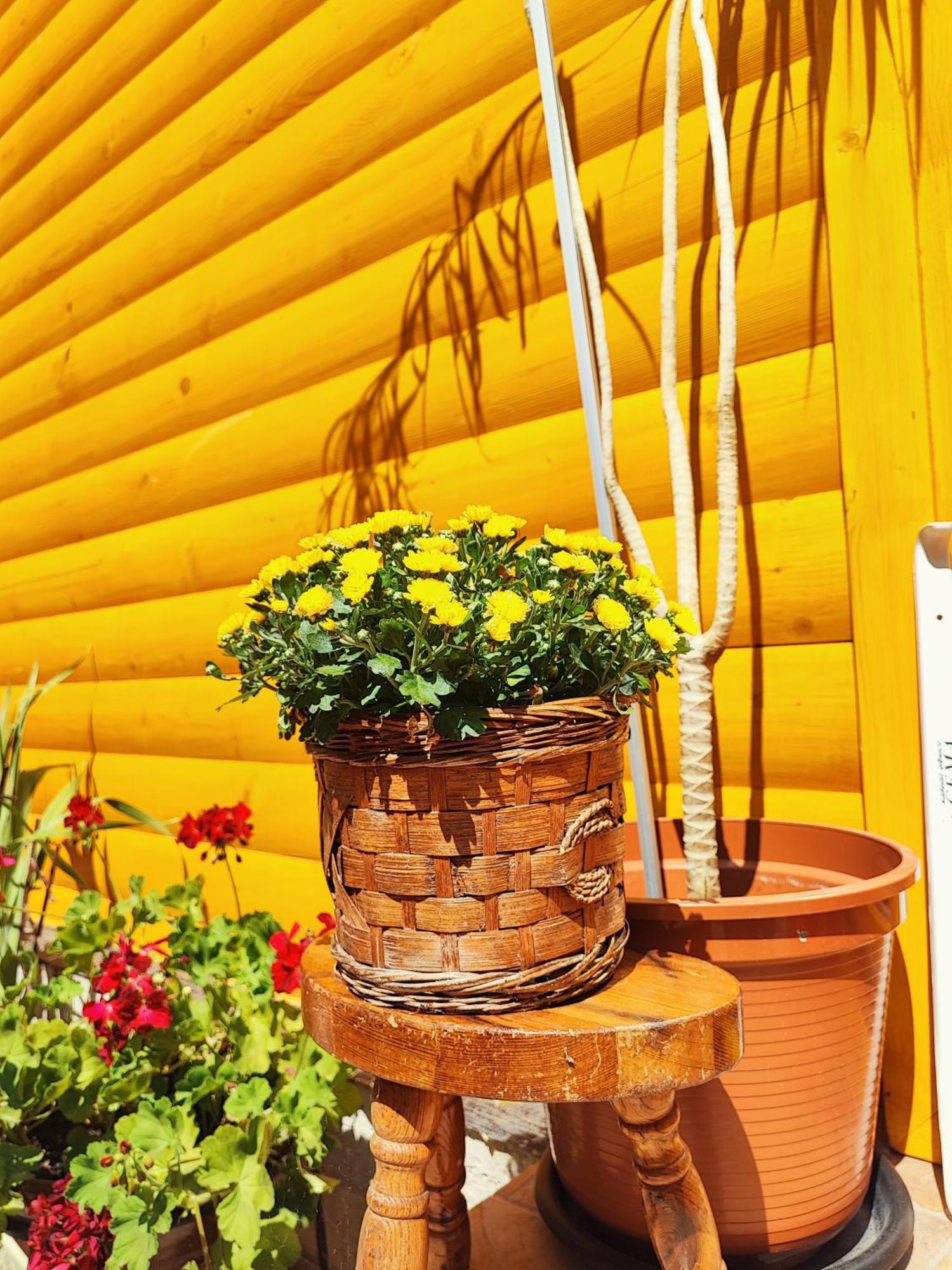 Guest House Nizama'S Place Сараево Екстериор снимка